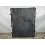 Radiador Agua Para Citroen C4 Lim.