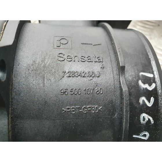 Caudalimetro Para Peugeot 307 Berlina