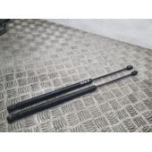 Amortiguadores Maletero / Porton para Land Rover Freelander