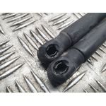 Amortiguadores Maletero / Porton para Land Rover Freelander