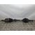 Transmision Delantera Izquierda Para Nissan Qashqai+2