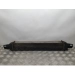 Intercooler Para Citroen Nemo