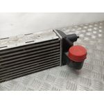 Intercooler Para Citroen C4 Picasso