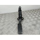 Potenciometro Pedal Para Kia Picanto