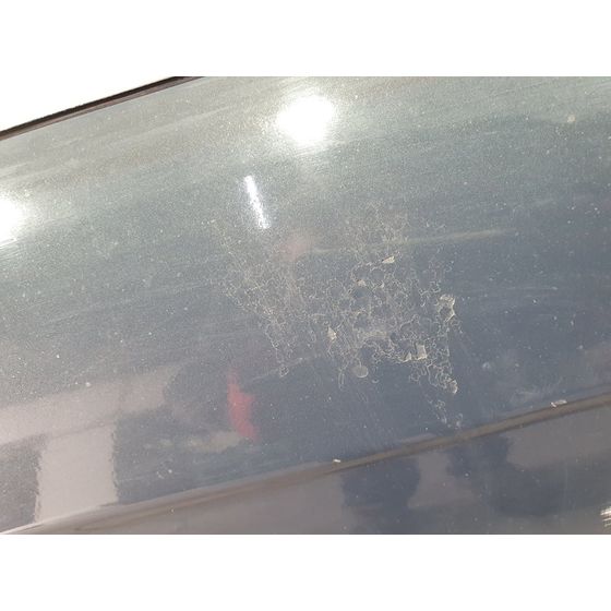 Puerta Trasera Derecha Para Seat Exeo Berlina