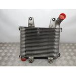 Intercooler Para Kia Carnival Ii
