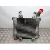 Intercooler Para Kia Carnival Ii