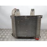 Intercooler Para Kia Carnival Ii