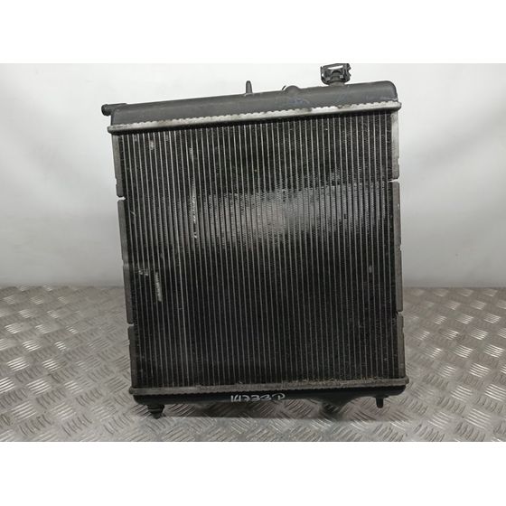Radiador Agua Para Peugeot 207
