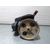 Bomba Direccion para Citroen Berlingo