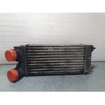 Intercooler Para Citroen C4 Picasso