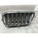 Rejilla Delantera Para Bmw X3