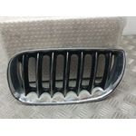 Rejilla Delantera Para Bmw X3
