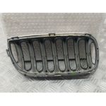 Rejilla Delantera Para Bmw X3