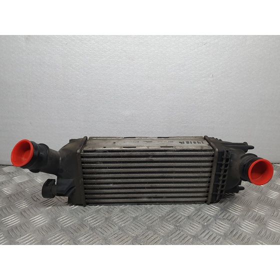 Intercooler Para Peugeot 407