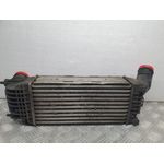 Intercooler Para Peugeot 407