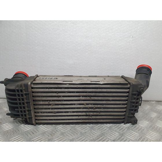 Intercooler Para Peugeot 407