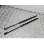 Amortiguadores Maletero / Porton Para Land Rover Range Rover Evoque