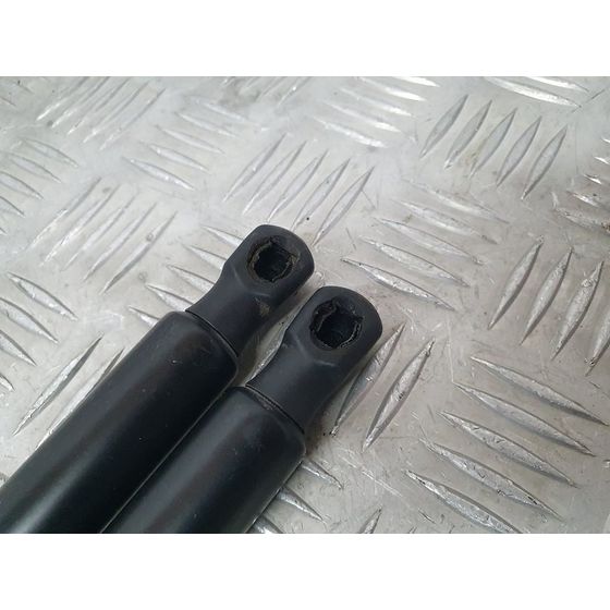 Amortiguadores Maletero / Porton Para Land Rover Range Rover Evoque