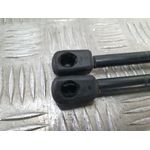 Amortiguadores Maletero / Porton Para Land Rover Range Rover Evoque