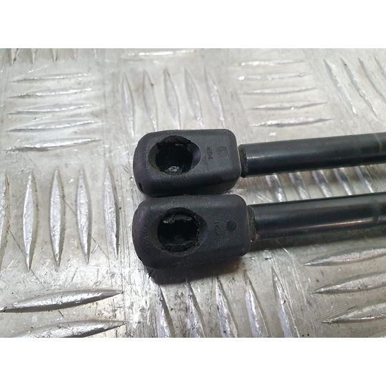 Amortiguadores Maletero / Porton Para Land Rover Range Rover Evoque