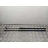Amortiguadores Maletero / Porton Para Ford Kuga