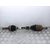 Transmision Delantera Izquierda Para Nissan Qashqai