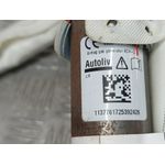 Airbag Cortina Delantero Derecho para Renault Megane Iv Grandtour