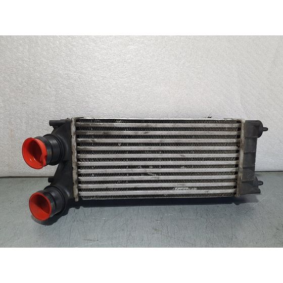 Intercooler Para Peugeot 3008