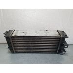Intercooler Para Peugeot 3008