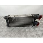 Intercooler Para Peugeot 3008