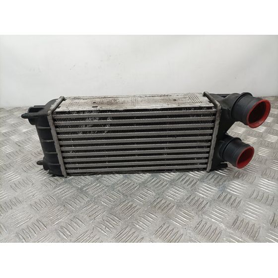 Intercooler Para Peugeot 3008