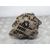 Alternador Para Ford Ranger