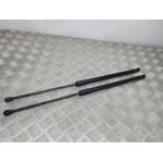 Amortiguadores Maletero / Porton Para Seat Leon