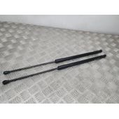 Amortiguadores Maletero / Porton Para Seat Leon