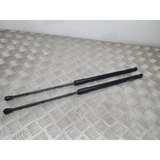 Amortiguadores Maletero / Porton Para Seat Leon