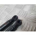 Amortiguadores Maletero / Porton Para Seat Leon
