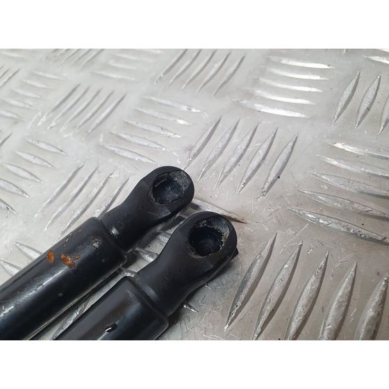 Amortiguadores Maletero / Porton Para Seat Leon