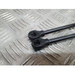 Amortiguadores Maletero / Porton Para Seat Leon