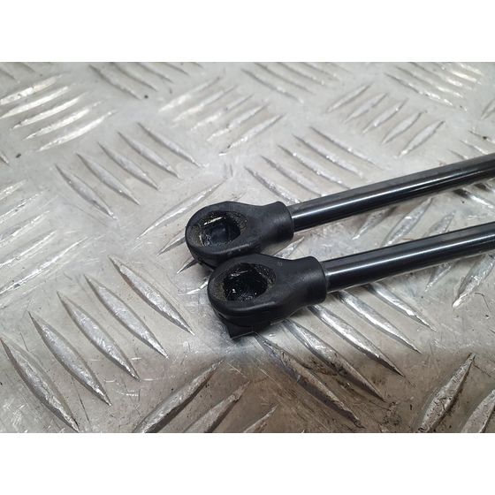 Amortiguadores Maletero / Porton Para Seat Leon