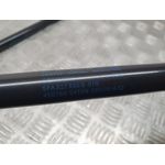 Amortiguadores Maletero / Porton Para Seat Leon