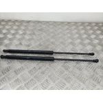 Amortiguadores Maletero / Porton Para Citroen C1