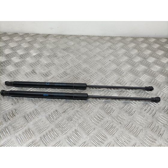 Amortiguadores Maletero / Porton Para Citroen C1