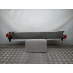 Intercooler Para Citroen Jumper Grossraumkasten