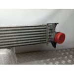 Intercooler Para Citroen Jumper Grossraumkasten