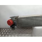 Intercooler Para Citroen Jumper Grossraumkasten