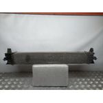 Intercooler Para Citroen Jumper Grossraumkasten