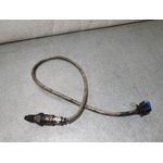 Sonda Lambda Para Ford Transit Courier