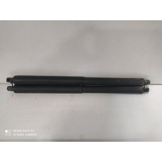 Amortiguadores Maletero / Porton Para Bmw X5