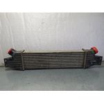 Intercooler Para Ssangyong Rodius
